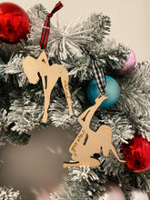 Load image into Gallery viewer, Set of 2 | Personalized Naughty All Occassion Ornaments
