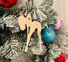 Load image into Gallery viewer, Set of 2 | Personalized Naughty All Occassion Ornaments
